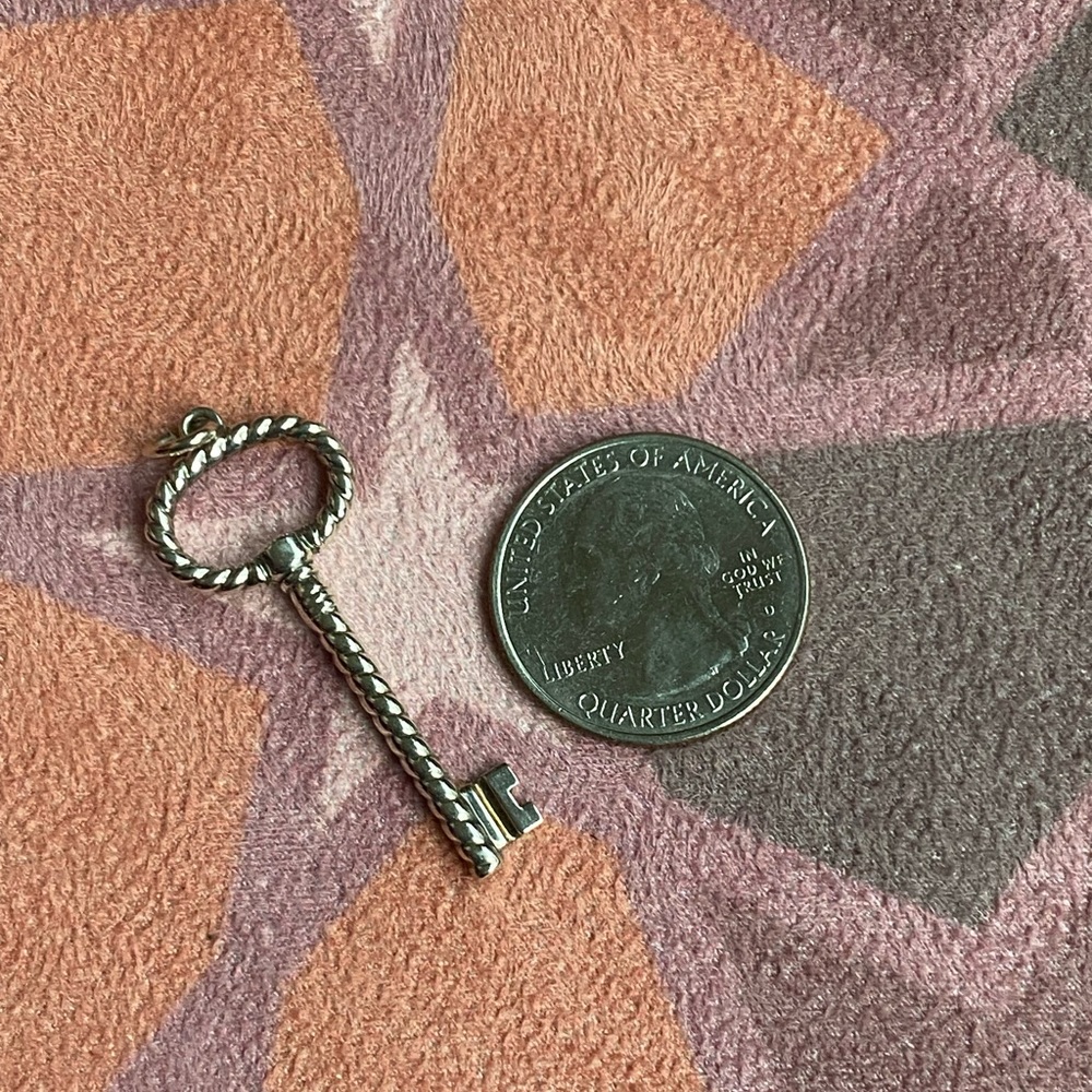 Tiffany & Co. Sterling Silver Oval Twist Pendant - Picture 7 of 8